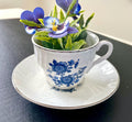 Vintage Teacup and Saucer Planter- Repurposed Wedgewood