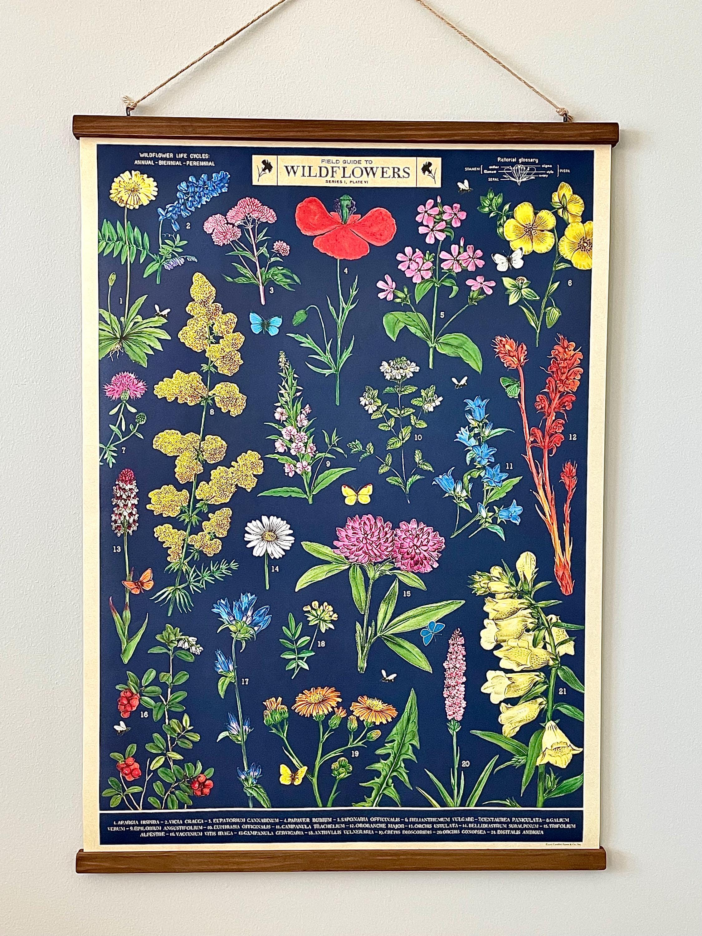 Wildflower Poster- Vintage Style Cavallini and Co with Handcrafted Wood Stretcher Bars