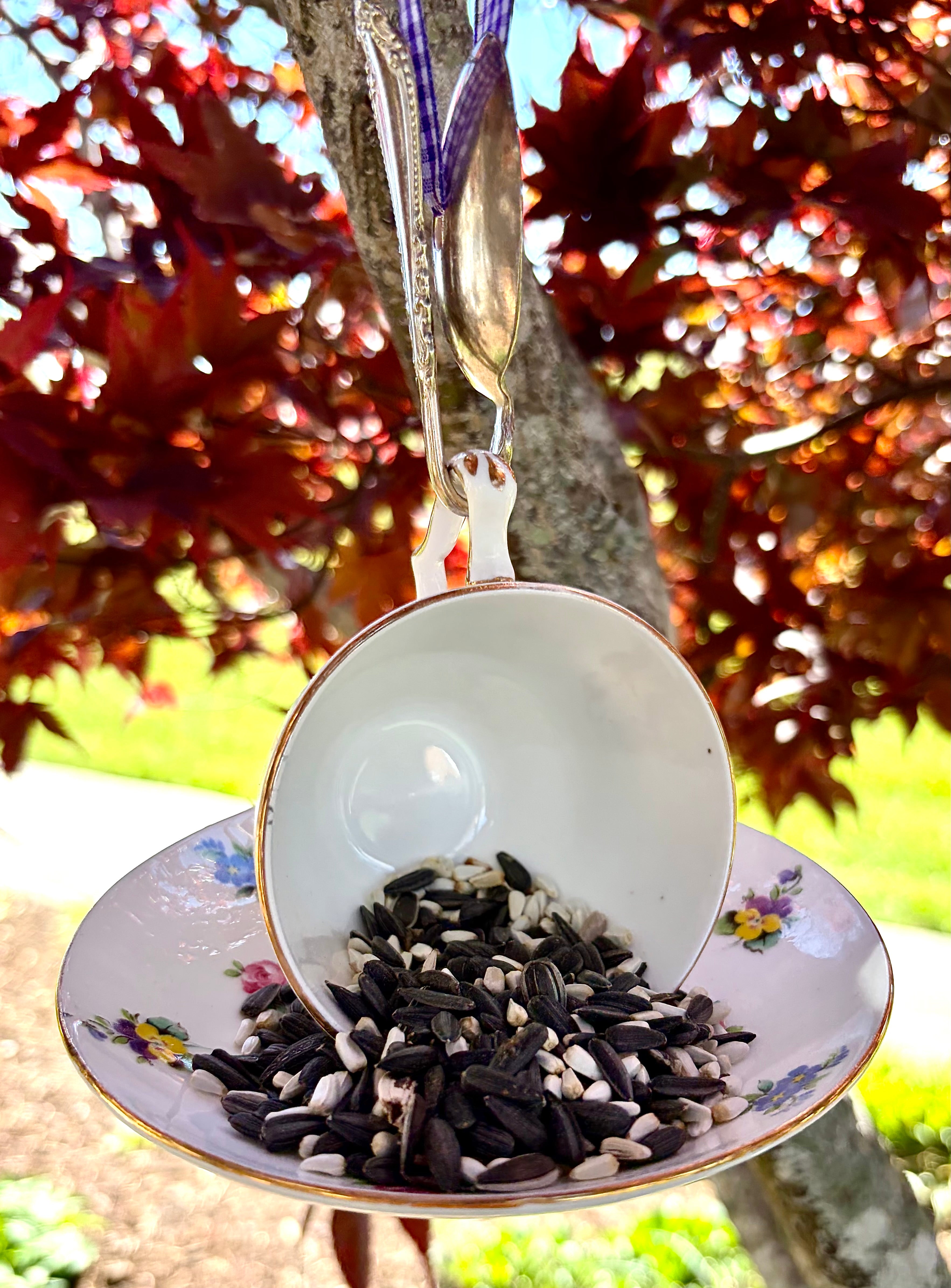 Repurposed Teacup Bird Feeder with Vintage Bent Spoon Hanger