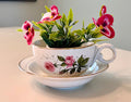 Teacup Planter- Vintage Repurposed Teacup and Saucer