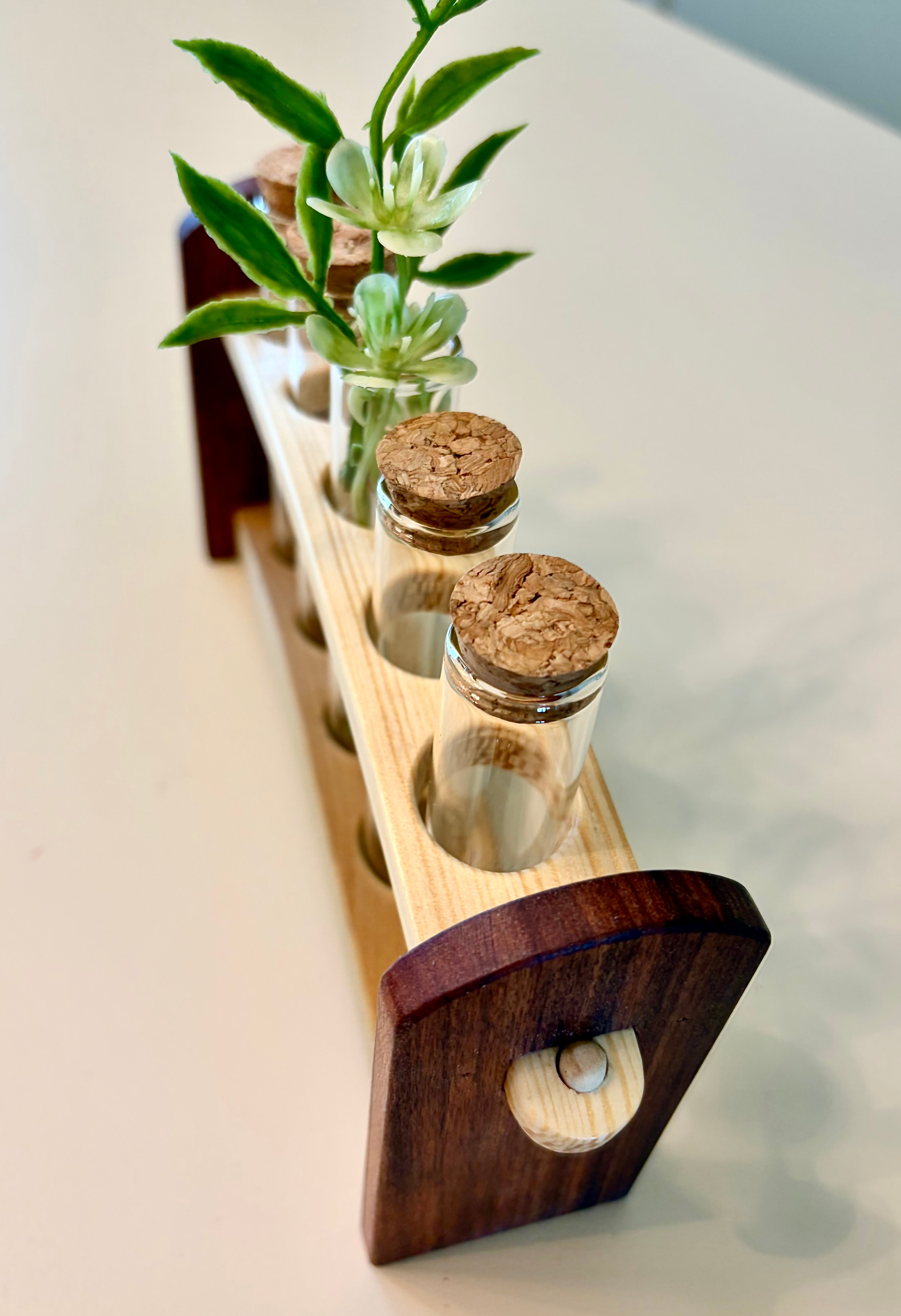 Handcrafted Curved Wood Test Tube Rack
