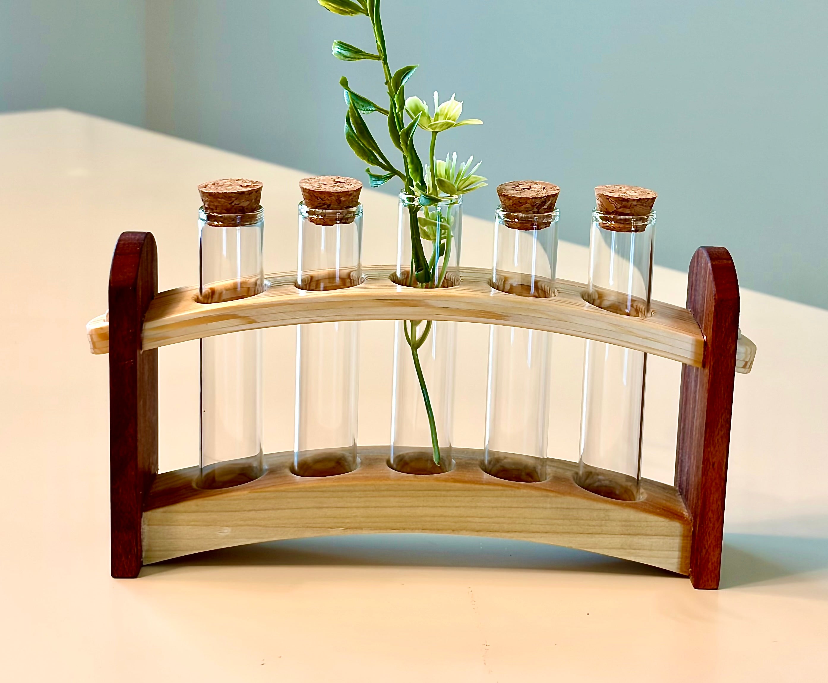 Handcrafted Curved Wood Test Tube Rack