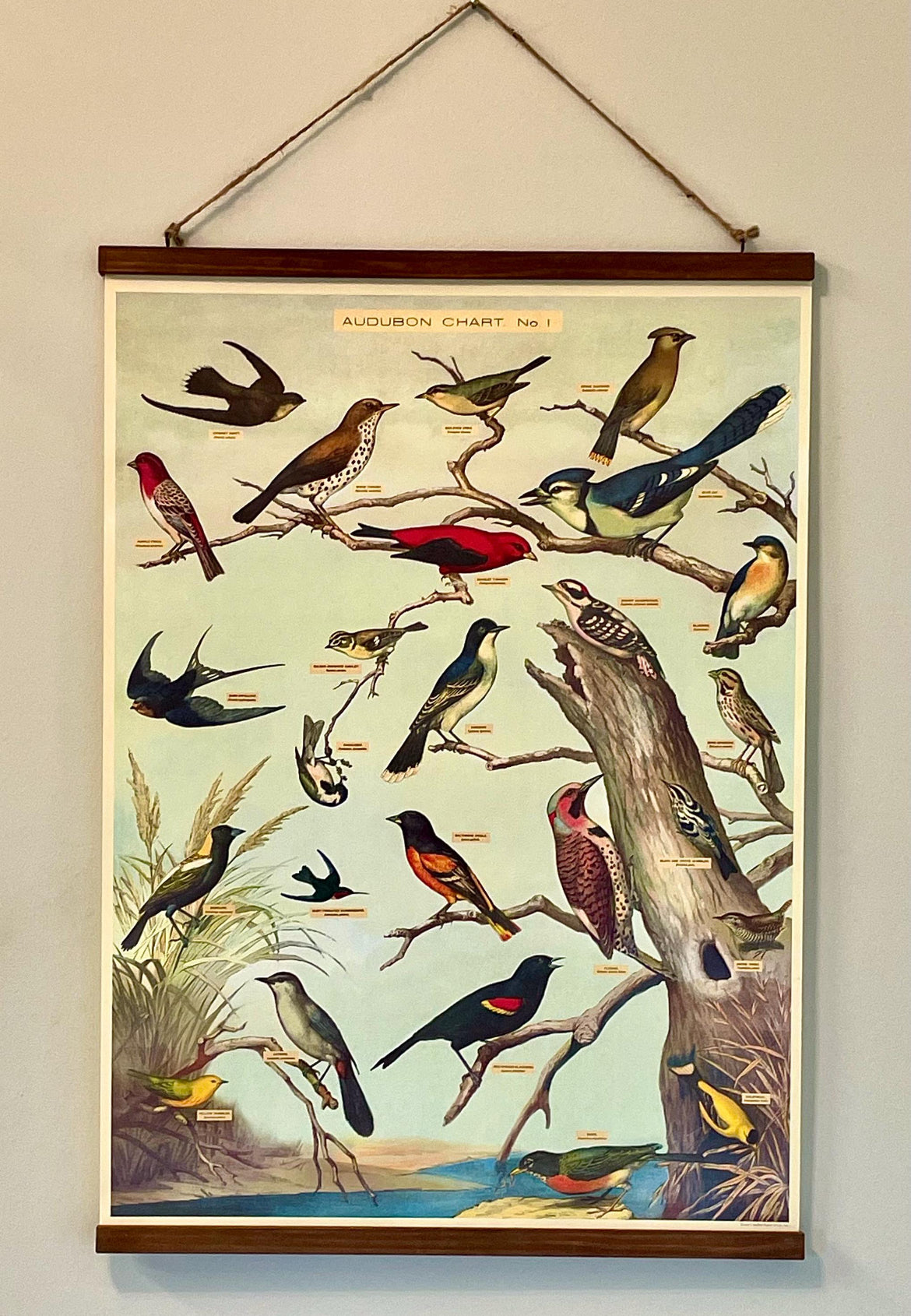 Audubon Bird Chart - Vintage Style Decorative Paper with Handcrafted Wood Stretcher Bars