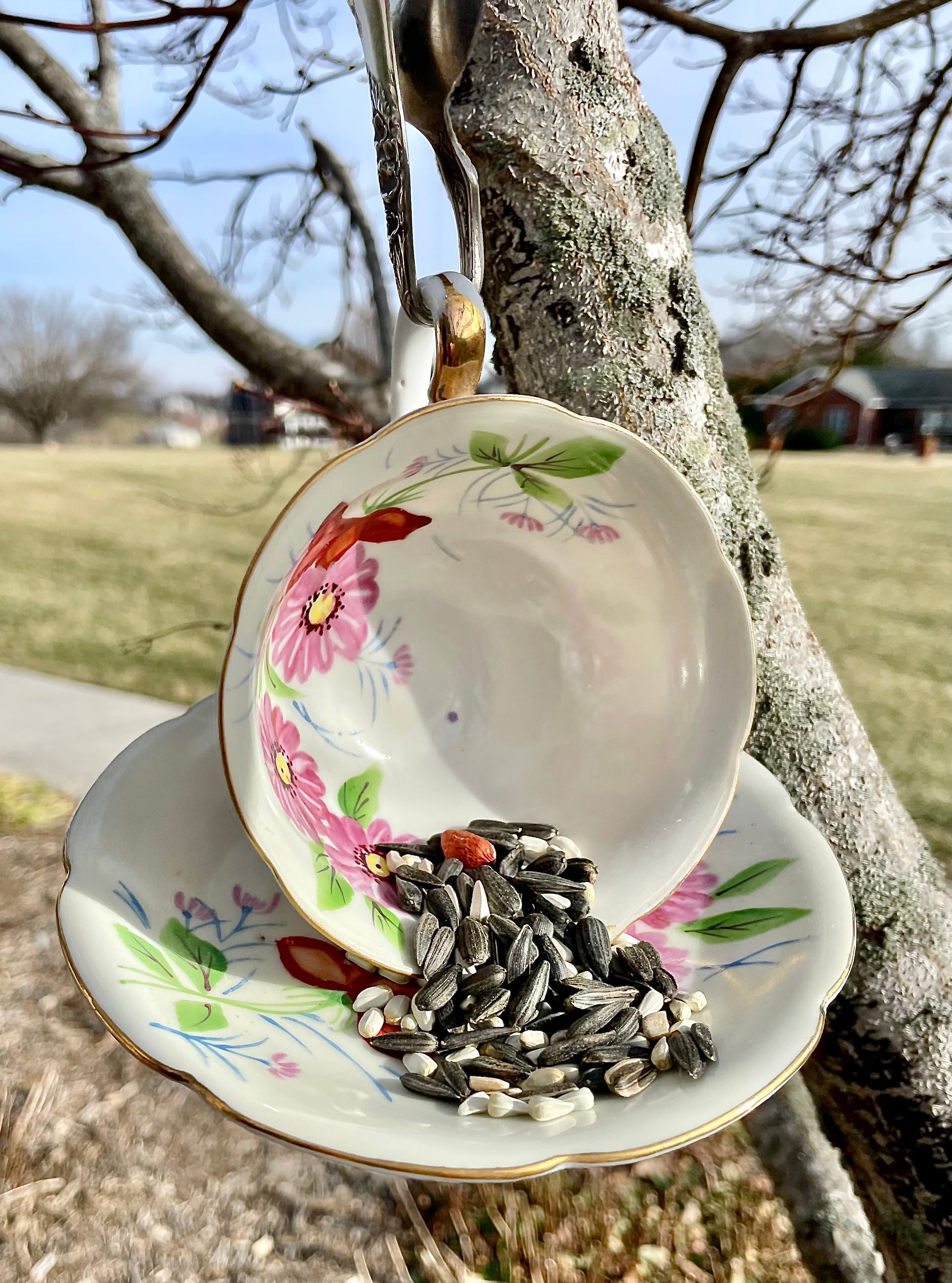 Teacup Bird Feeder with Vintage Bent Spoon Hanger (Repurposed)
