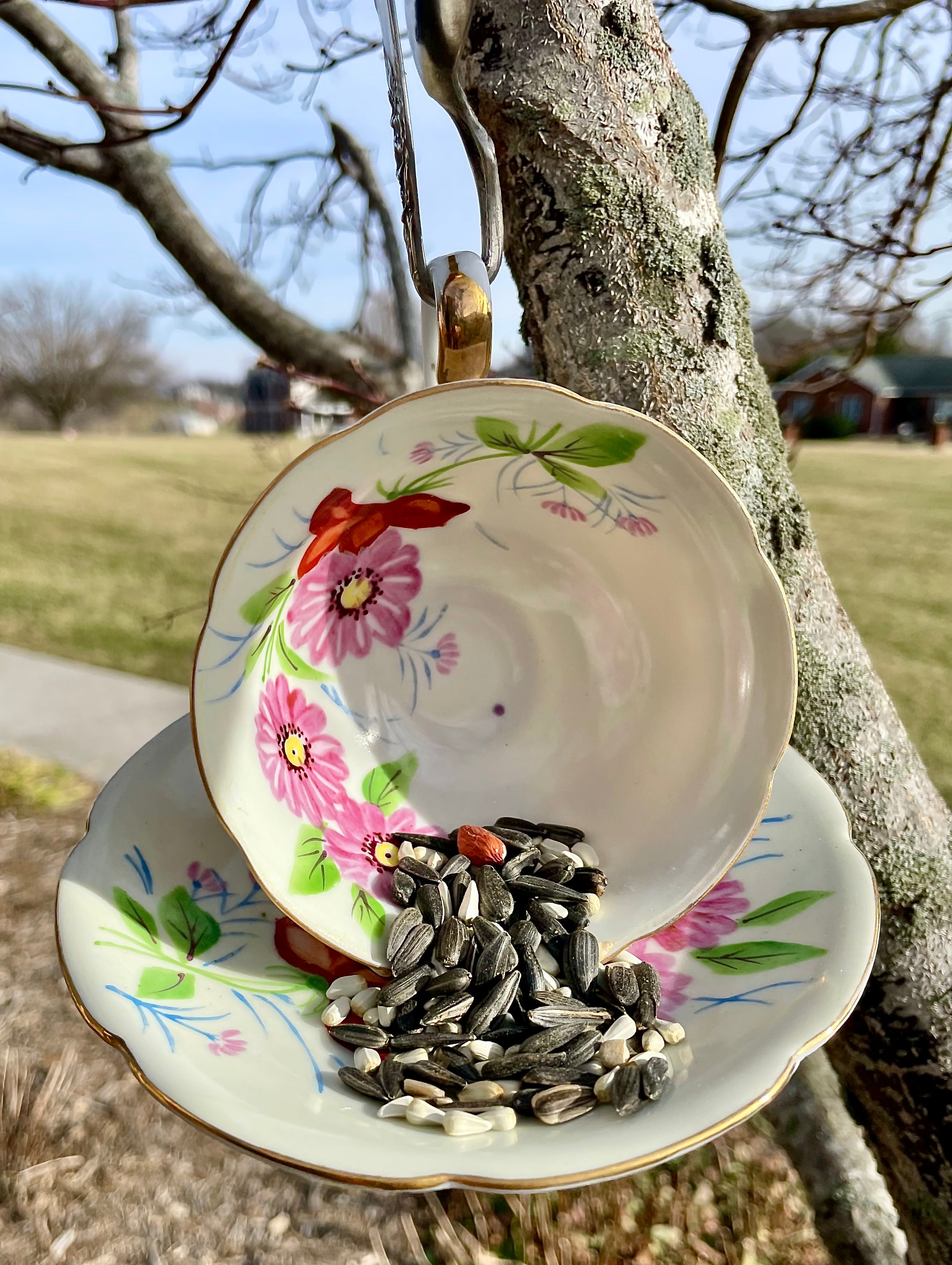 Teacup Bird Feeder with Vintage Bent Spoon Hanger (Repurposed)