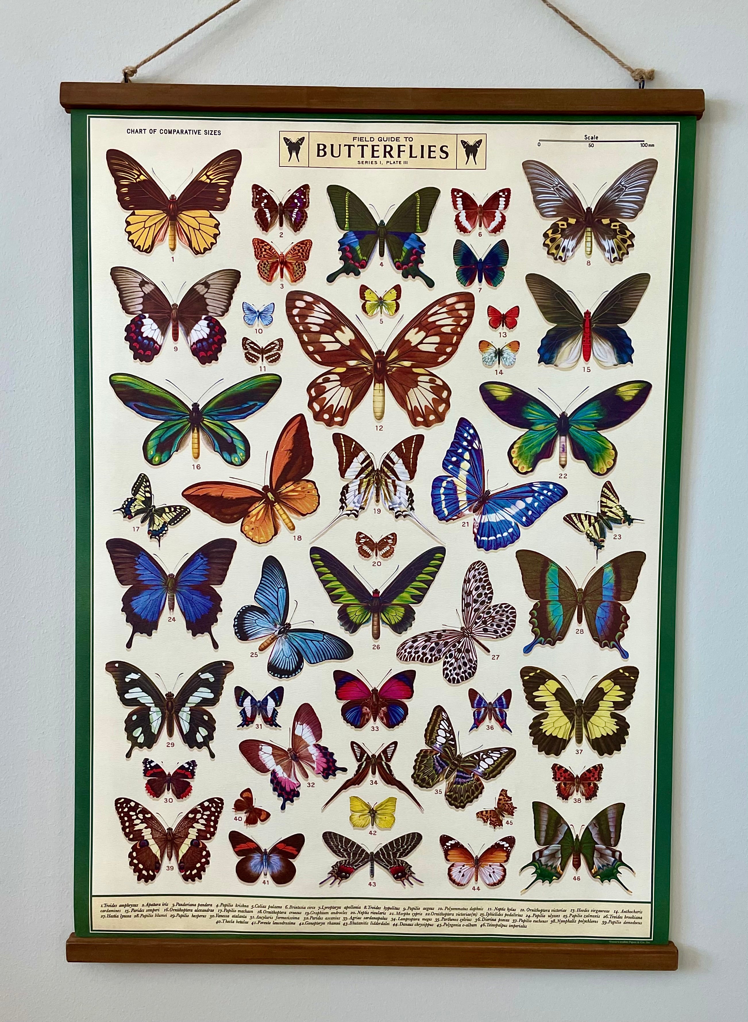 Butterflies- Vintage Style Poster with Handcrafted Wood Stretcher Bars