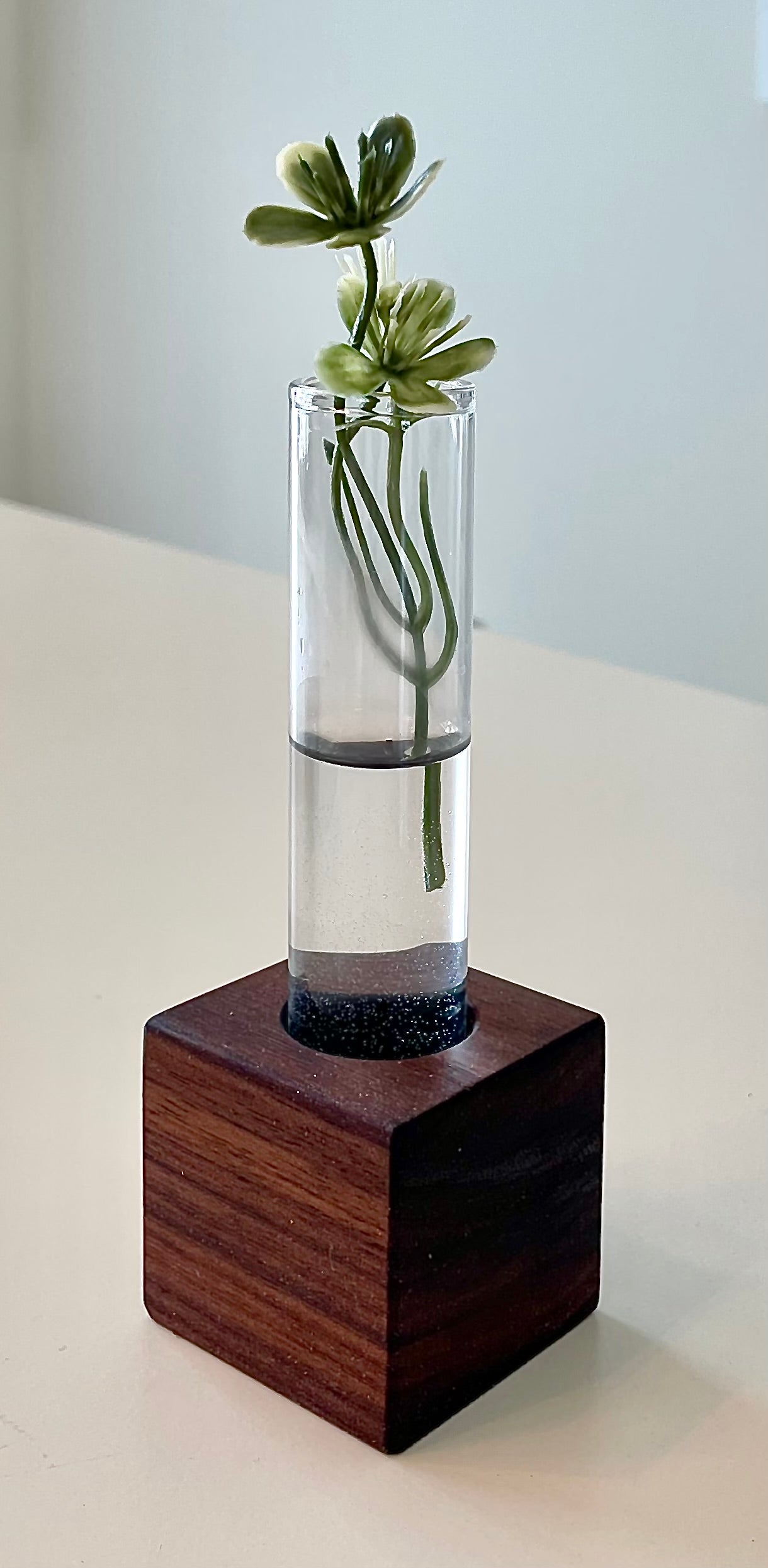 Handcrafted Walnut Test Tube Holder: Propagation Station