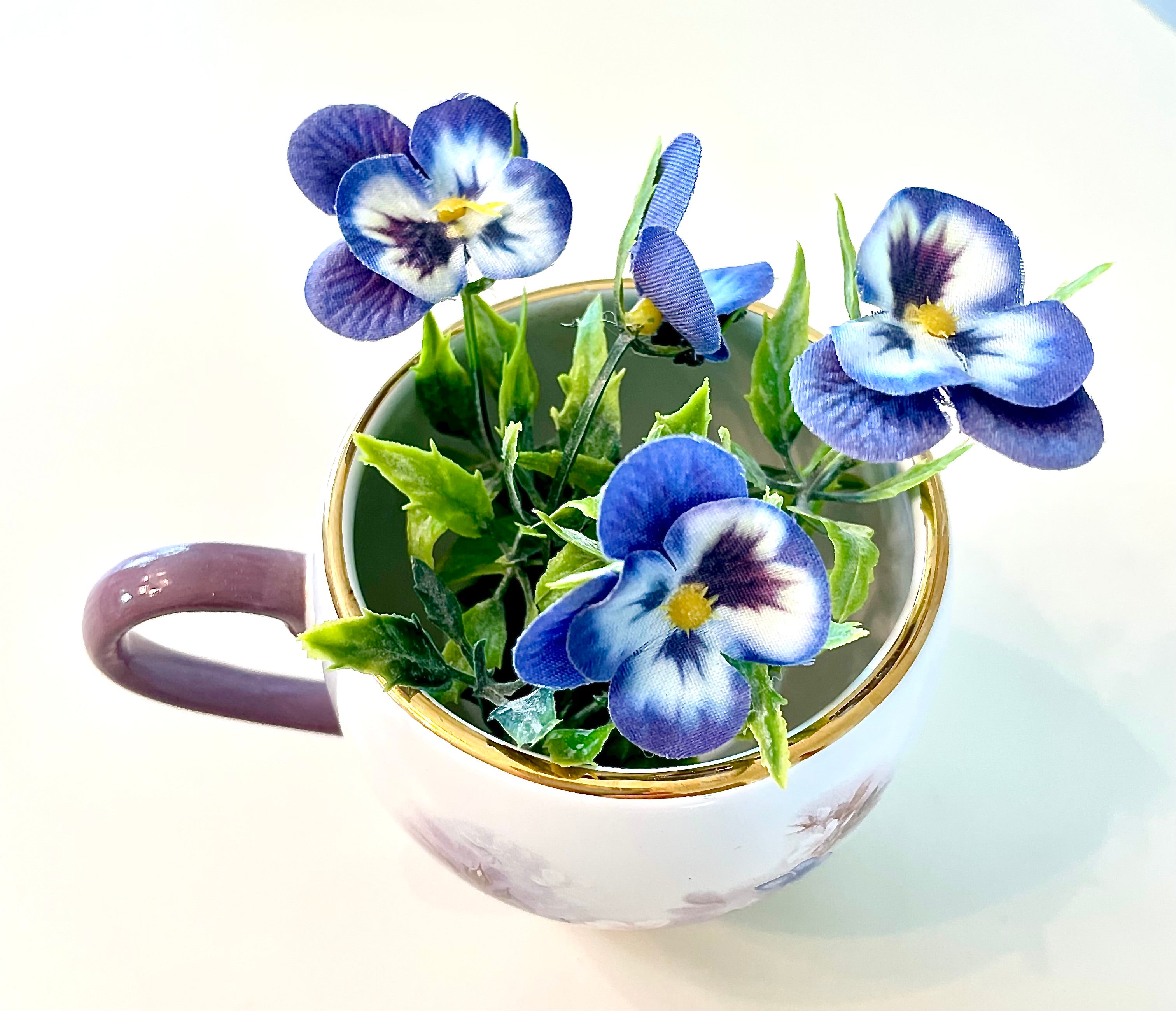 Teacup Planter- Repurposed Vintage Cup and Saucer