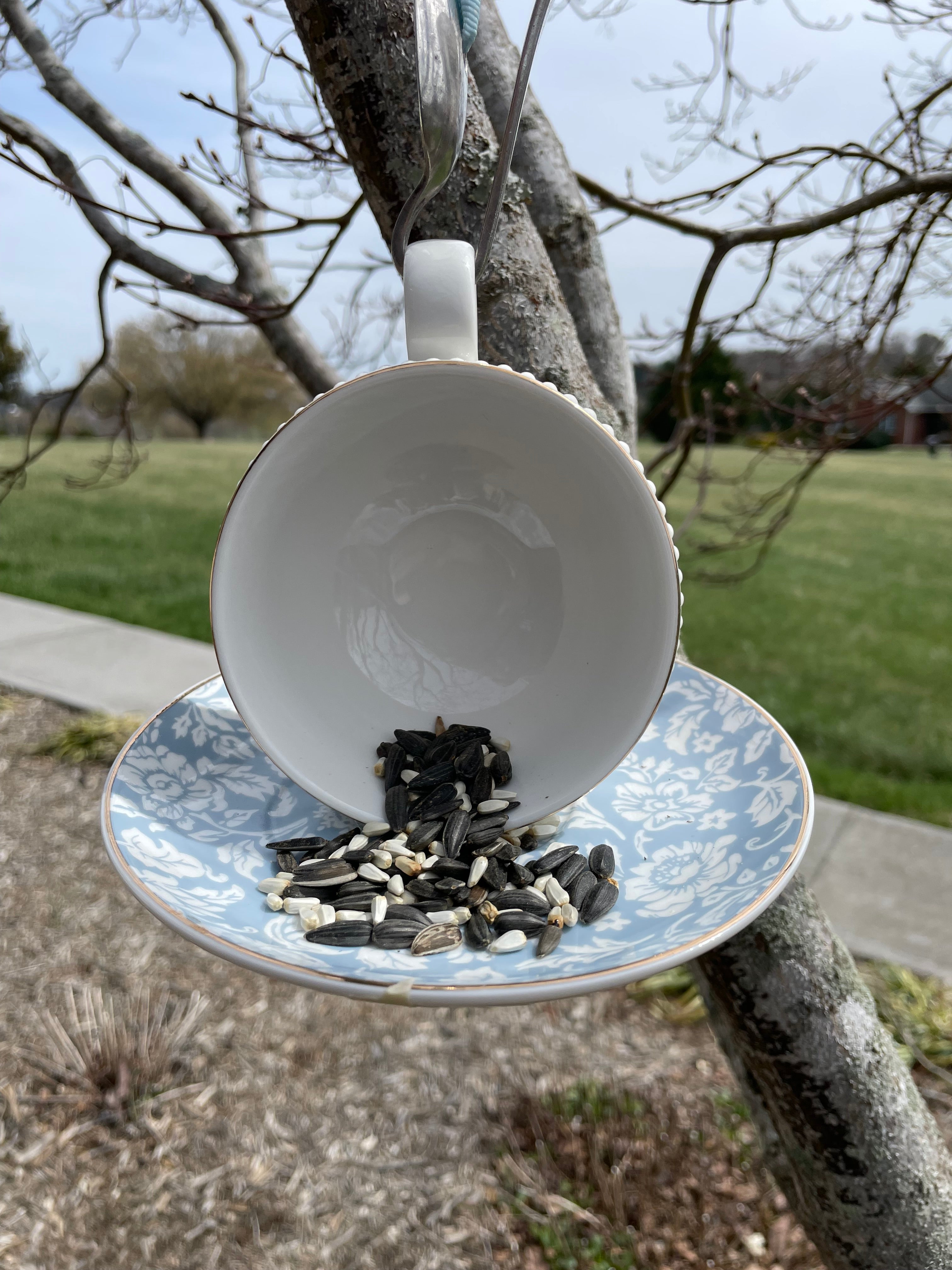 Tea Cup Bird Feeder with Vintage Spoon Hanger (Repurposed)