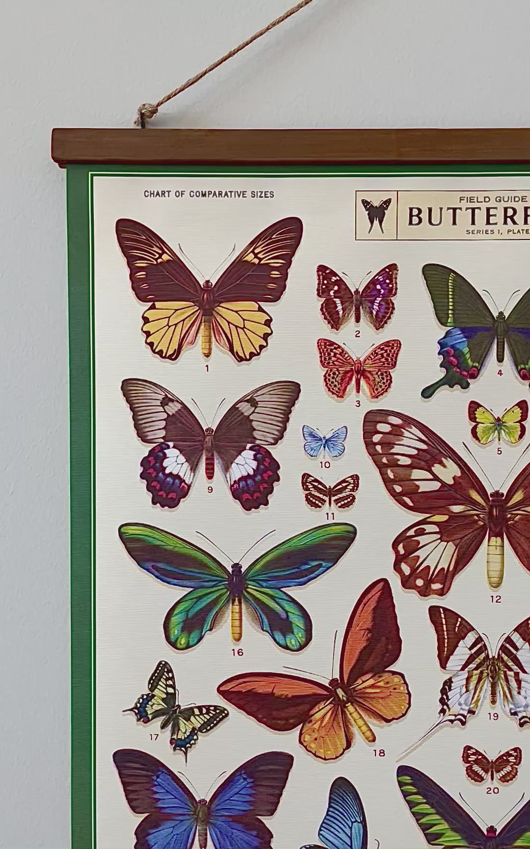 Butterflies- Vintage Style Poster with Handcrafted Wood Stretcher Bars
