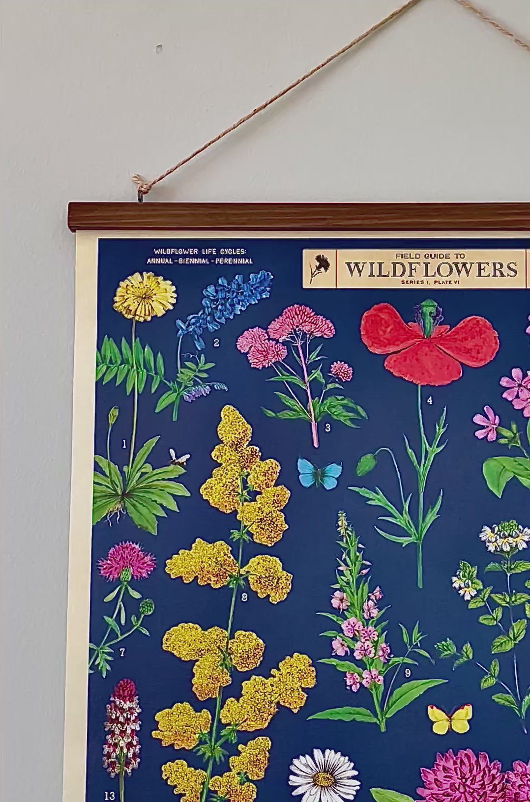 Wildflower Poster- Vintage Style Cavallini and Co with Handcrafted Wood Stretcher Bars