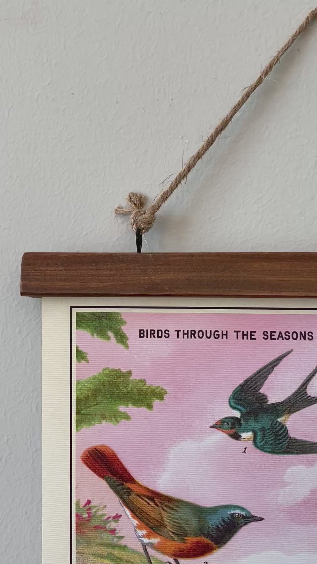 Field Guide to Birds- Vintage Style Poster with Handcrafted Wood Stretcher Bars
